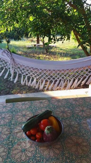 Country House Tra Lago E Mare A Sud Di Roma Villa Campoleone Ngoại thất bức ảnh