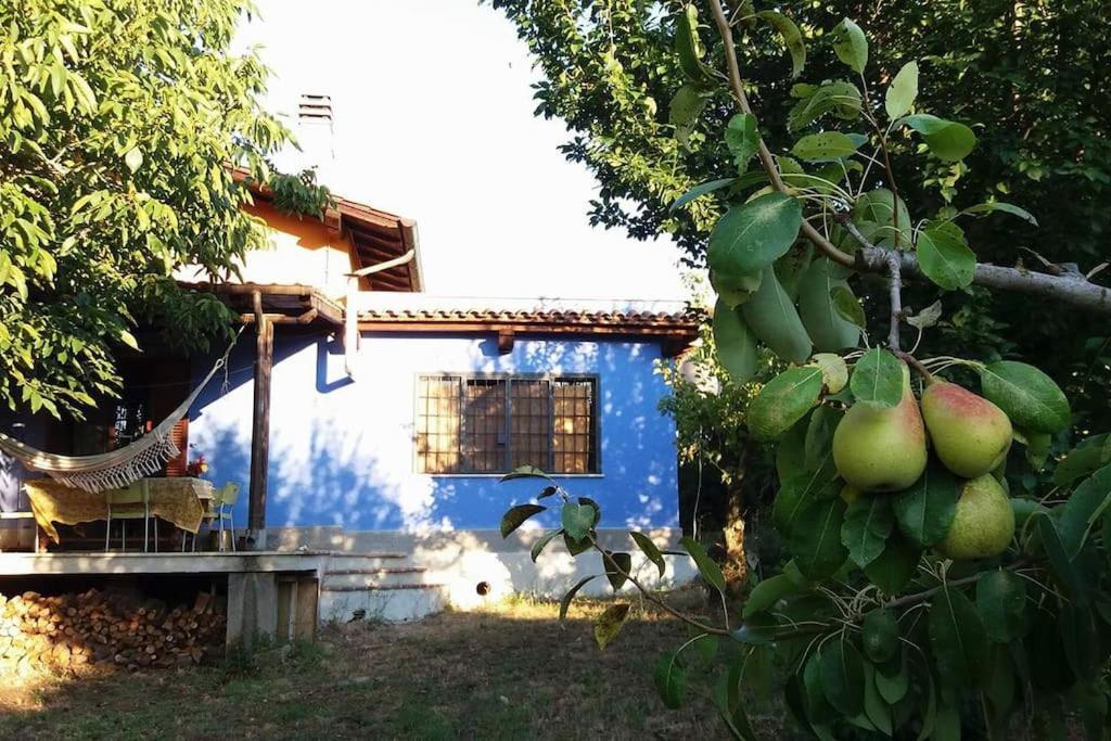 Country House Tra Lago E Mare A Sud Di Roma Villa Campoleone Ngoại thất bức ảnh